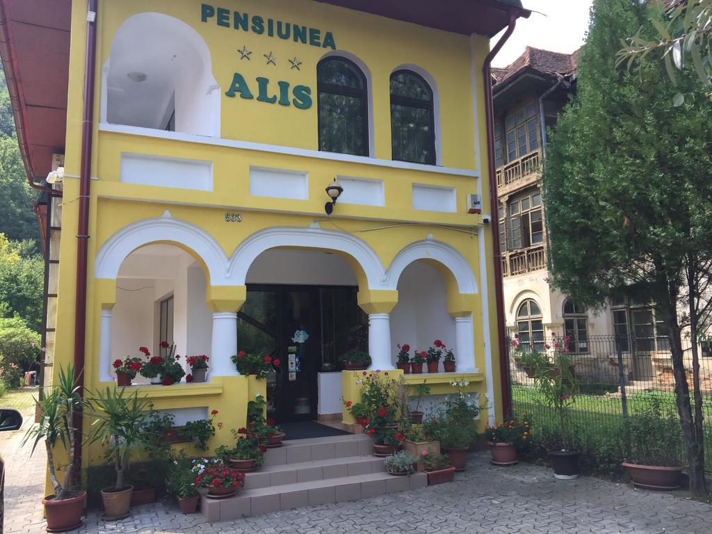 Pensiunea Alis Calimanesti Exterior photo